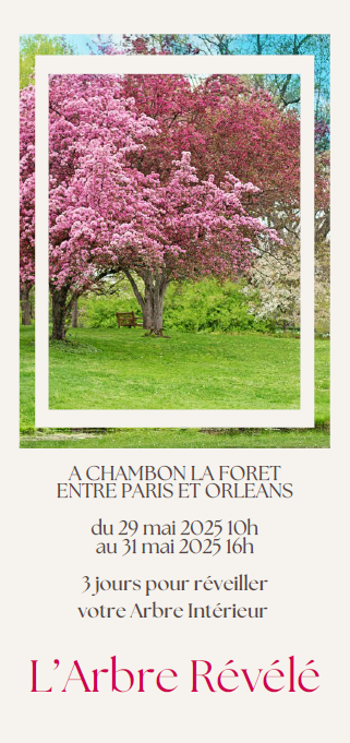 04 Seminaire2025 LarbreRevele Plaquette